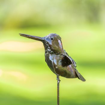 Metalen tuinbeeld van een iJsvogel, gemaakt door een Afrikaanse kunstenaar. 