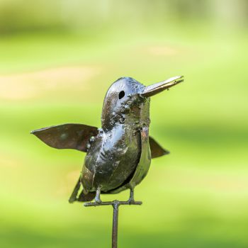 IJsvogel