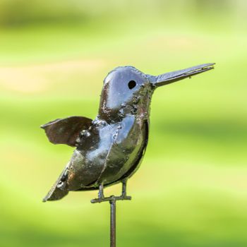 IJsvogel