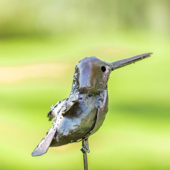 IJsvogel