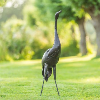 Paradijskraanvogel