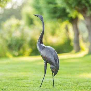 Paradijskraanvogel