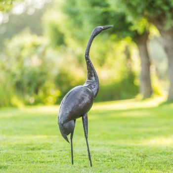 Paradijskraanvogel