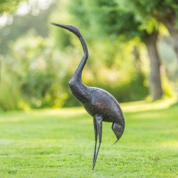Paradijskraanvogel