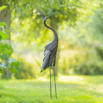 Kroonkraanvogel