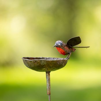 Roodborst Schaal