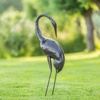 Paradijskraanvogel