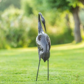 Paradijskraanvogel