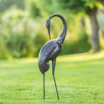 Paradijskraanvogel