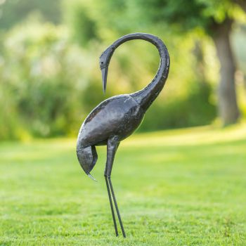 Paradijskraanvogel