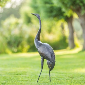 Paradijskraanvogel