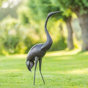 Paradijskraanvogel