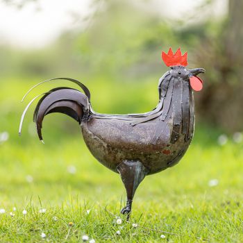 Metalen tuinbeeld van een haan, gemaakt door een Afrikaanse kunstenaar. 