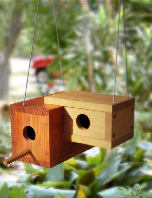 Erg leuk om ook dieren van het bos een plaatje bij u in de tuin te gunnen