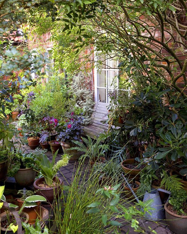 Een metalen gieter is een prachtig decoratiestuk voor een cottage tuin