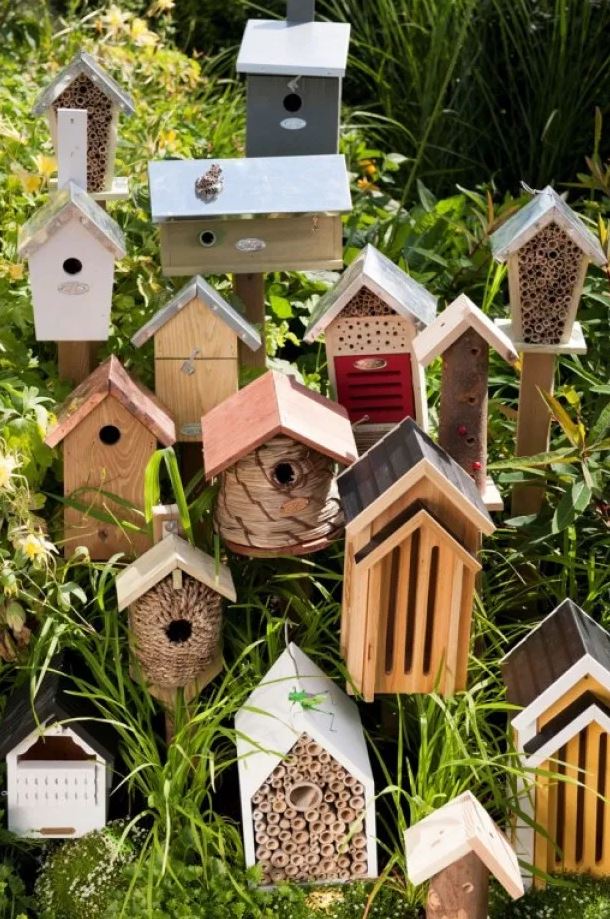 zaterdag Zuinig opleiding Tuindecoratie ideeën, tips voor uw tuin - Mooievogels.nl