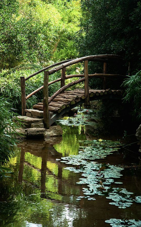 Het leuke van water is natuurlijk dat je er ook weer allerlei bruggetjes overheen kan maken