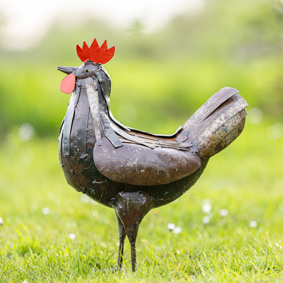 Metalen tuinbeeld van een kip, gemaakt door een Afrikaanse kunstenaar. Kip
