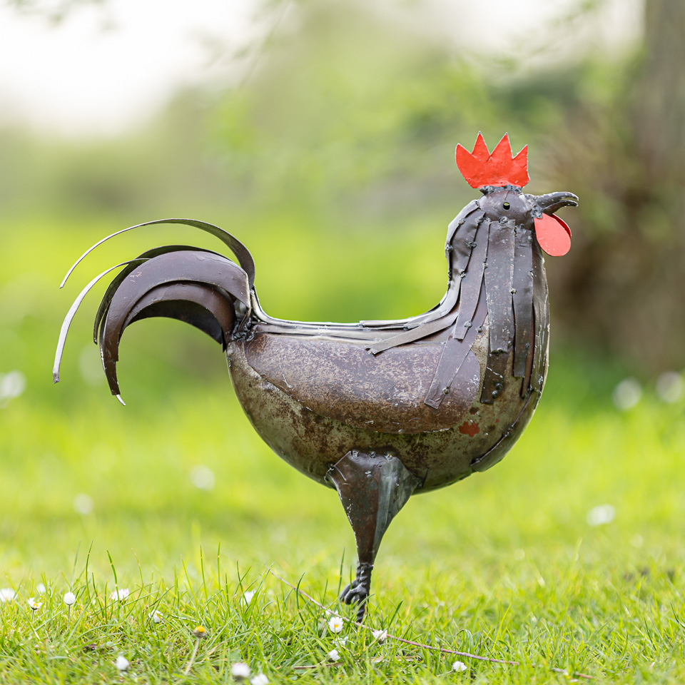 Metalen tuinbeeld van een haan, gemaakt door een Afrikaanse kunstenaar. Haan
